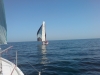 DSC00131.JPG